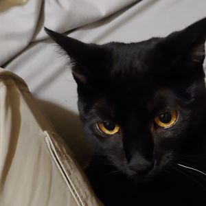 Meet your Posher, Kurt